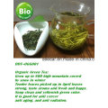 Grüner Bio-Tee
